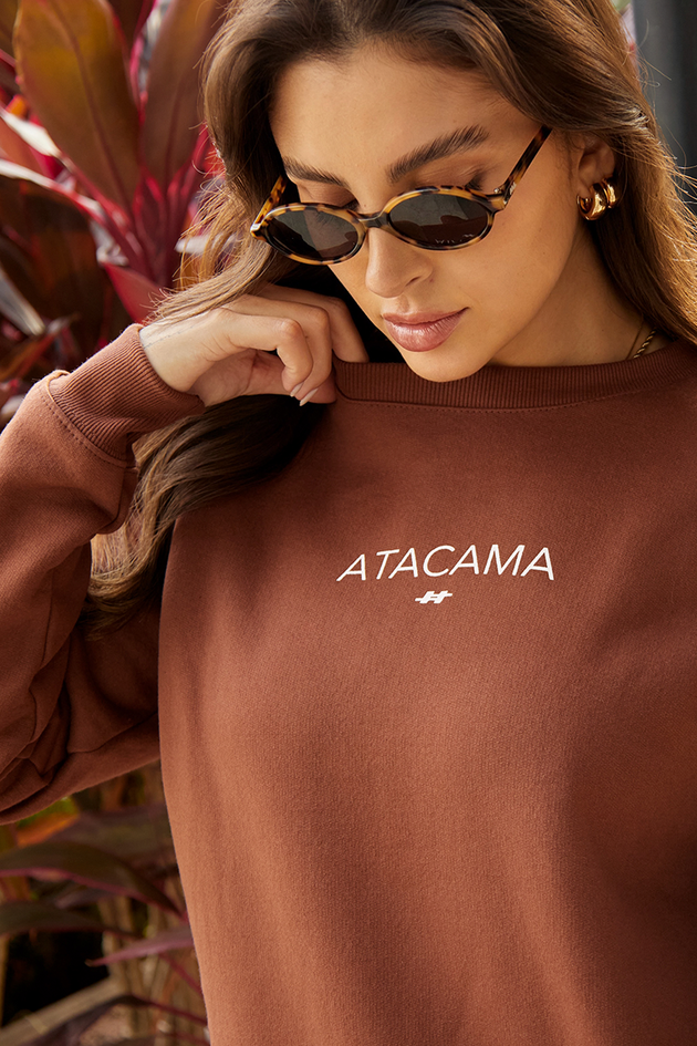 11f0095 009 blusa moletom feminino tradicional atacama marrom hiatto 2